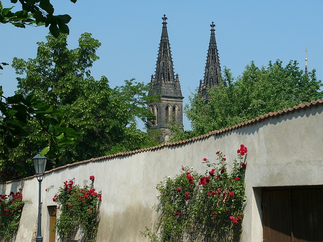 KULTURNÍ PŘEHLED: Akce na týden (20. 6. 2016 - 26. 6. 2016), foto: pixabay.com